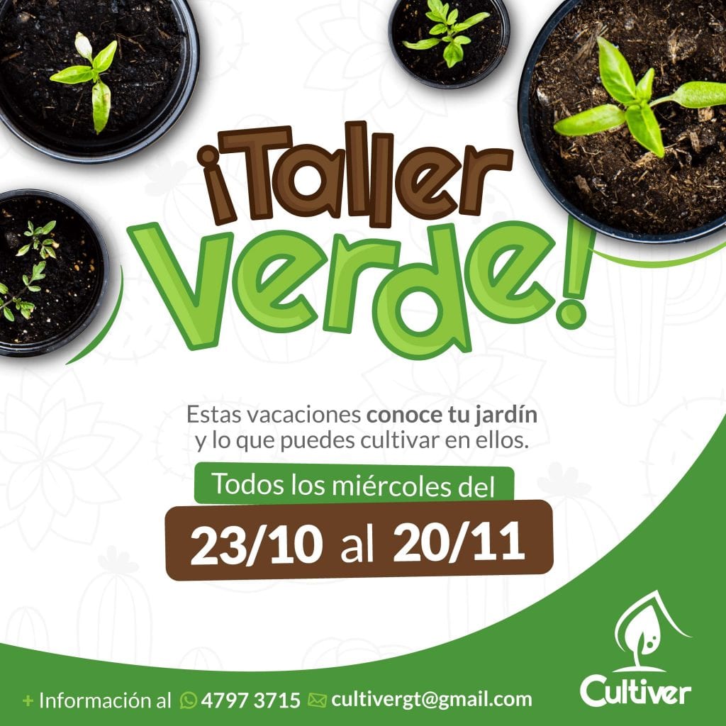 Curso Vacaciones 2019